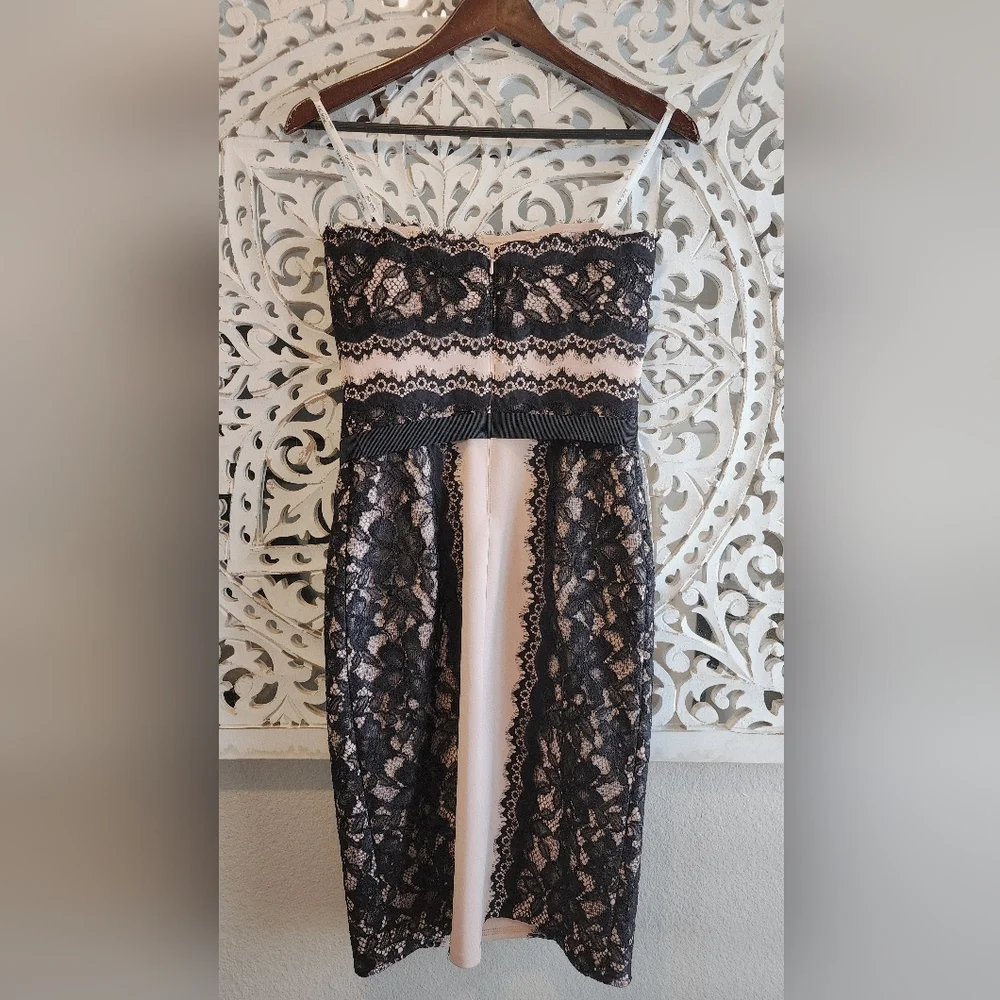 TADASHI SHOJI SHEATH LACE STRAPLE DRESS BLACK & NUDE TONE SIZE 2 - Picture 4 of 13
